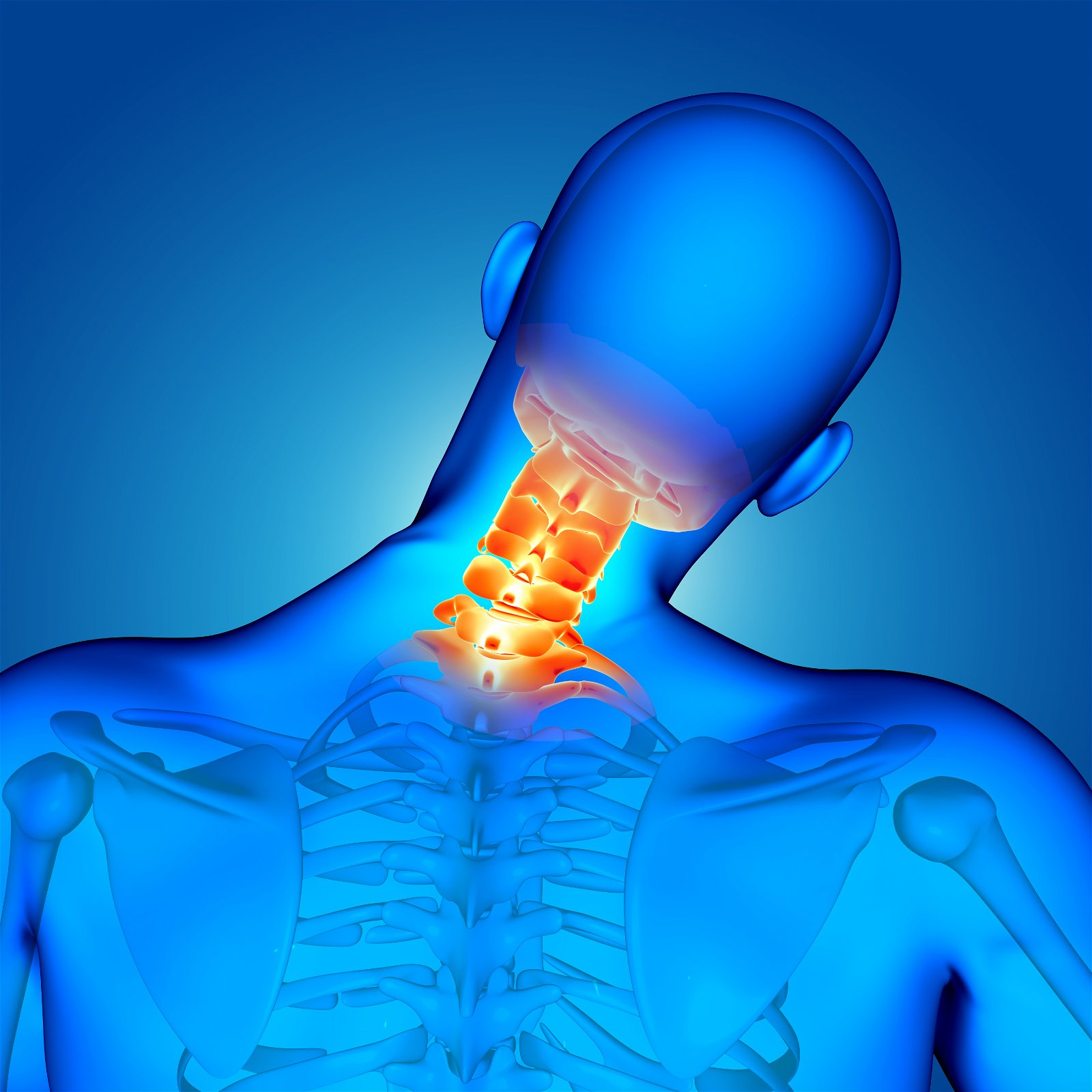 3D medical male figure with neck bones highlighted