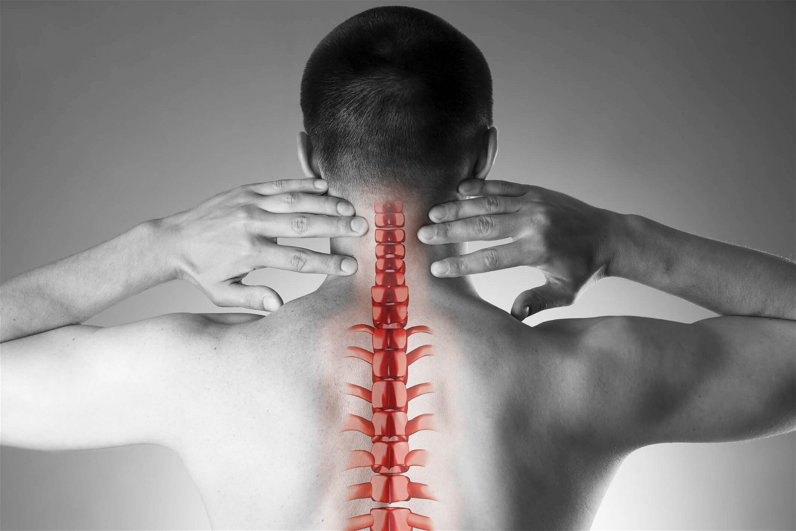 bolečine v hrbtu vratna in prsna hrbtenica