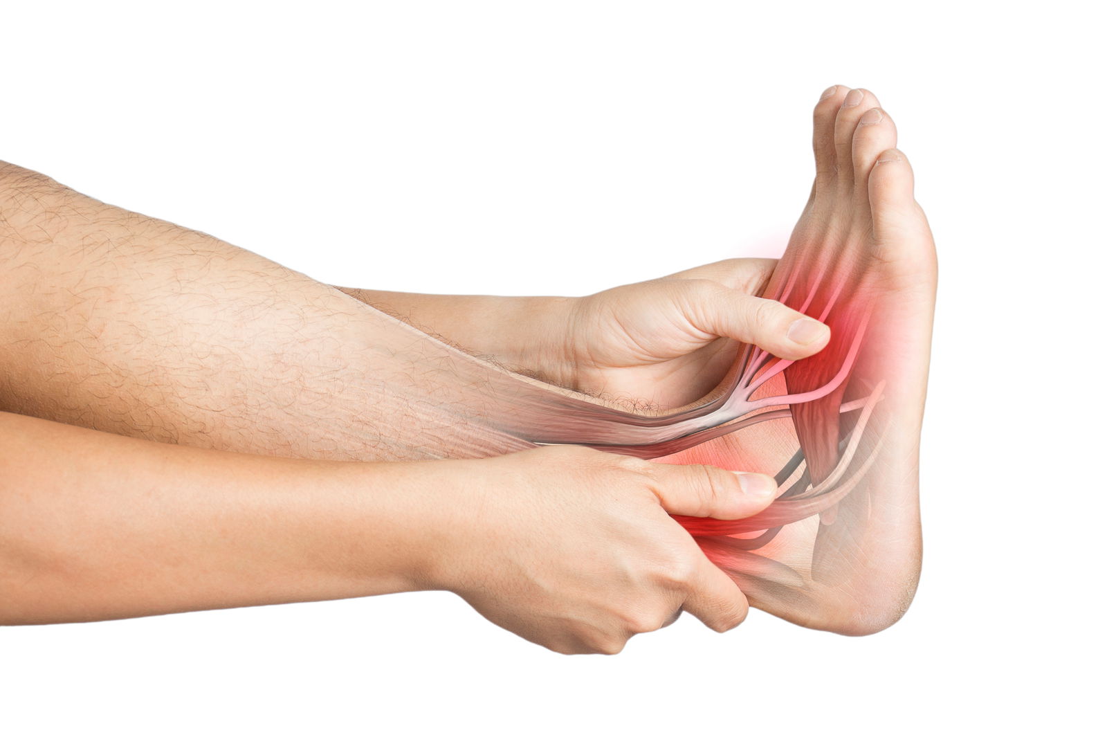 Heel,muscle,pain,white,background,heel,injury